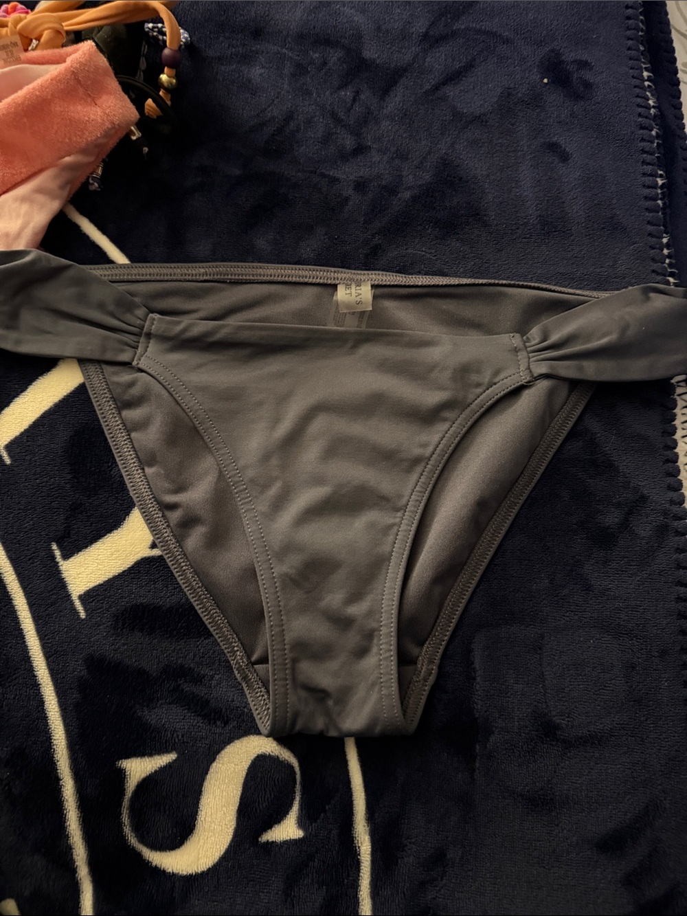 Gray Bikini Bottom